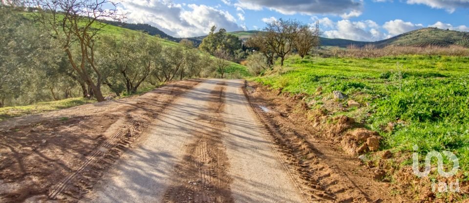 Terrain de 20 342 m² à Ardales (29550)