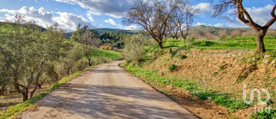 Terrain de 20 342 m² à Ardales (29550)