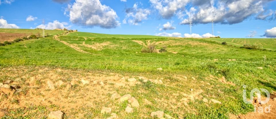 Terrain de 20 342 m² à Ardales (29550)