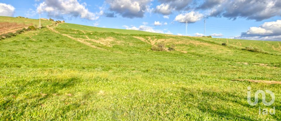 Terrain de 20 342 m² à Ardales (29550)