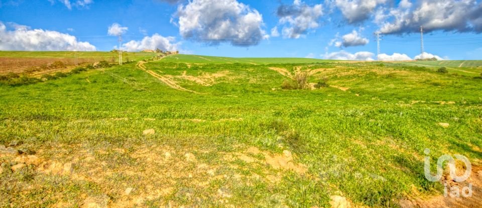 Terrain de 20 342 m² à Ardales (29550)