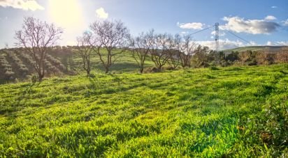 Terreny de 20.342 m² a Ardales (29550)