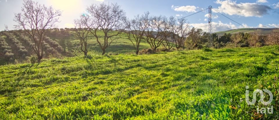 Terrain de 20 342 m² à Ardales (29550)