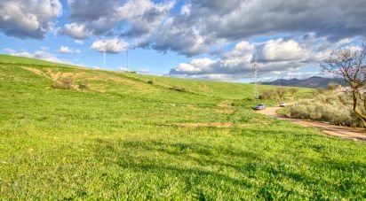 Terreny de 20.342 m² a Ardales (29550)