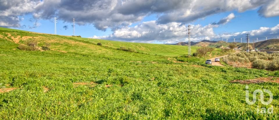 Terrain de 20 342 m² à Ardales (29550)