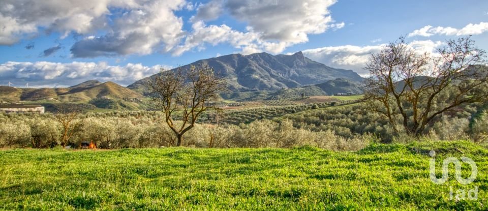 Terrain de 20 342 m² à Ardales (29550)