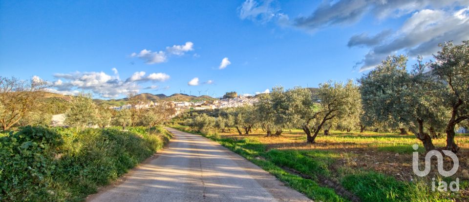 Terrain de 20 342 m² à Ardales (29550)