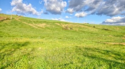 Terreny de 20.342 m² a Ardales (29550)