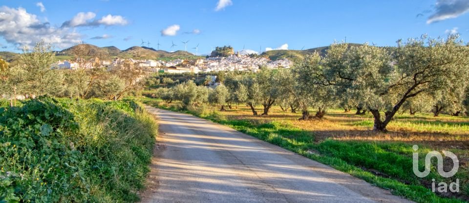 Terrain de 20 342 m² à Ardales (29550)