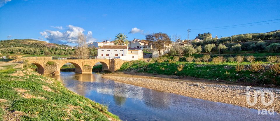 Terrain de 20 342 m² à Ardales (29550)