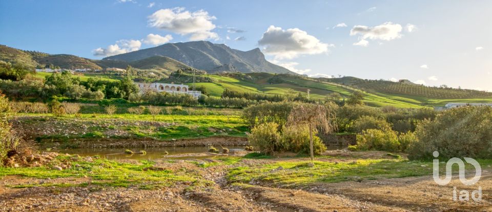 Terrain de 20 342 m² à Ardales (29550)