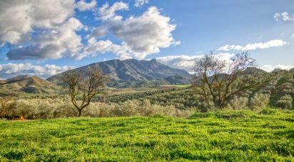 Terreny de 20.342 m² a Ardales (29550)