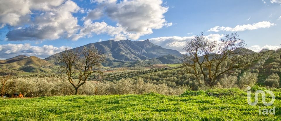 Terrain de 20 342 m² à Ardales (29550)