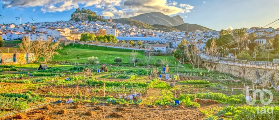 Terrain de 20 342 m² à Ardales (29550)