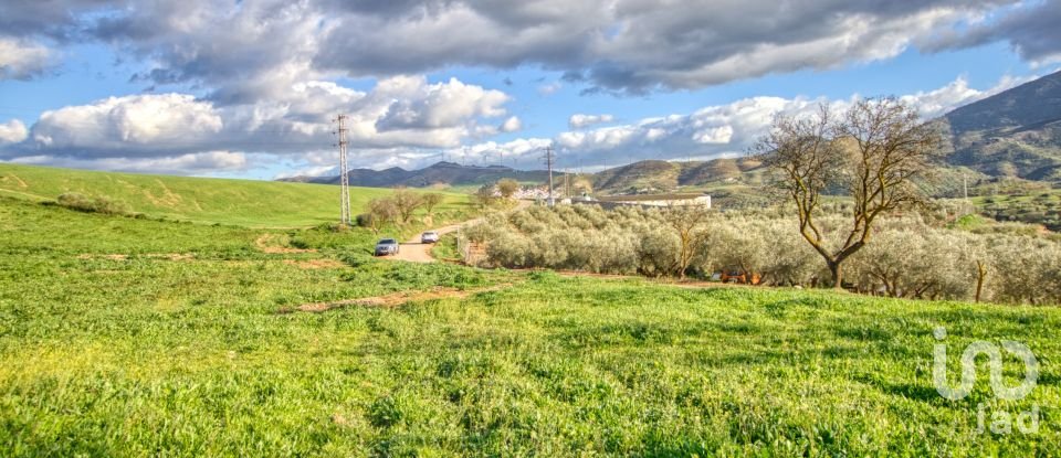 Terrain de 20 342 m² à Ardales (29550)