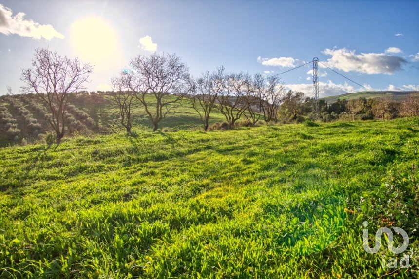 Terrain de 20 342 m² à Ardales (29550)