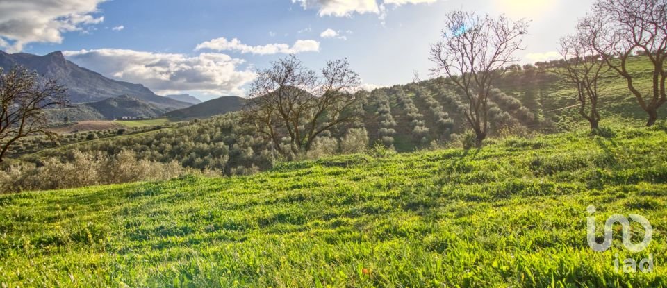 Terrain de 20 342 m² à Ardales (29550)