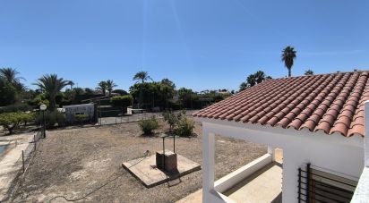 Cottage 4 bedrooms of 271 m² in Elx/Elche (03290)