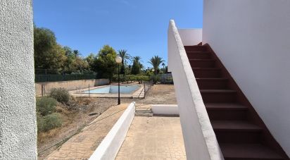 Cottage 4 bedrooms of 271 m² in Elx/Elche (03290)