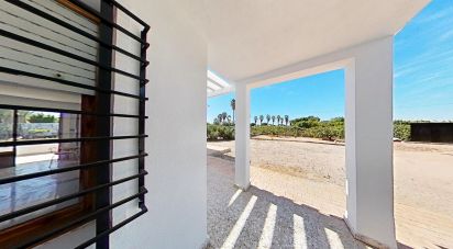 Cottage 4 bedrooms of 271 m² in Elx/Elche (03290)