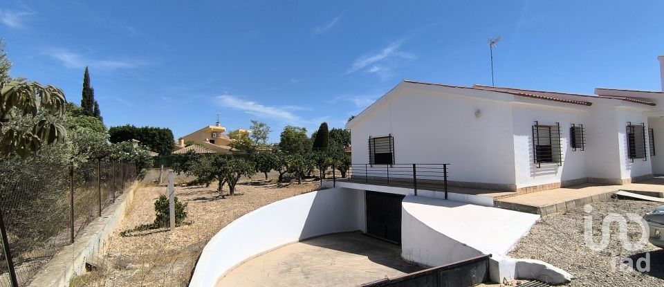 Châlet 4 chambres de 271 m² à Elx/Elche (03290)