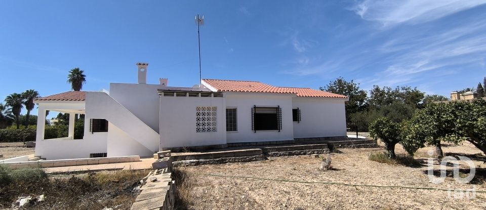 Châlet 4 chambres de 271 m² à Elx/Elche (03290)