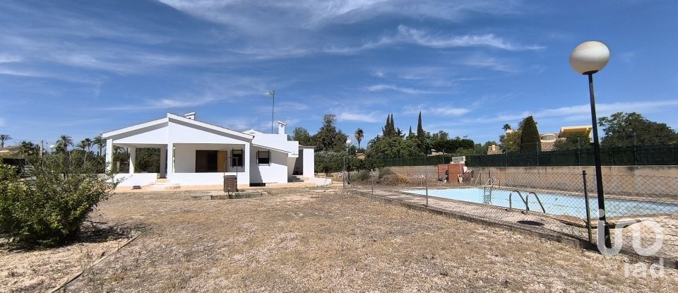 Châlet 4 chambres de 271 m² à Elx/Elche (03290)