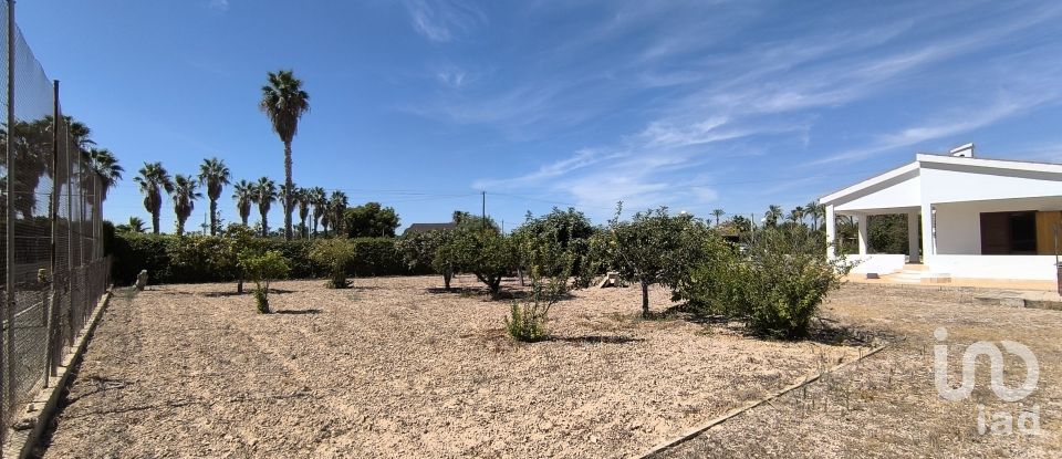 Châlet 4 chambres de 271 m² à Elx/Elche (03290)