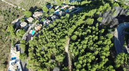 Building plot of 5,420 m² in Ador (46729)