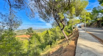 Building plot of 5,420 m² in Ador (46729)