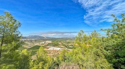 Building plot of 5,420 m² in Ador (46729)