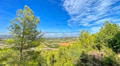 Building plot of 5,420 m² in Ador (46729)