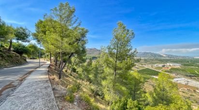 Building plot of 5,420 m² in Ador (46729)