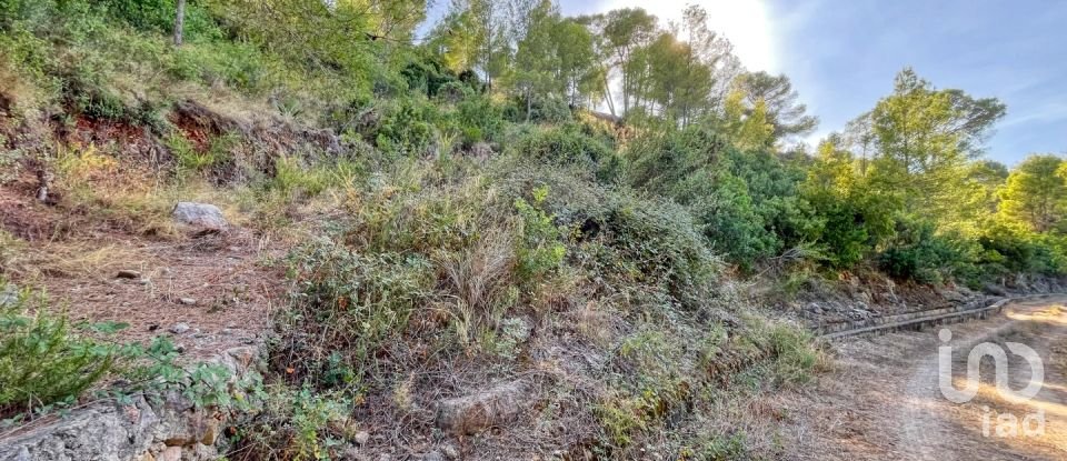 Terreny urbà de 5.420 m² a Ador (46729)