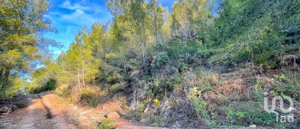 Terreny urbà de 5.420 m² a Ador (46729)