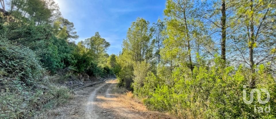 Terreny urbà de 5.420 m² a Ador (46729)