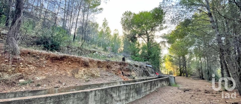 Terreny urbà de 5.420 m² a Ador (46729)