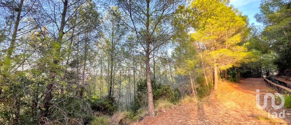 Terreny urbà de 5.420 m² a Ador (46729)