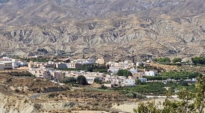 Farm land of 16,900 m² in Illar (04431)