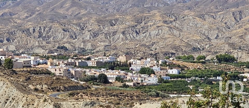 Terreny agrícola de 16.900 m² a Illar (04431)