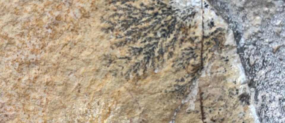 Casa 5 habitaciones de 128 m² en Vinaros (12500)