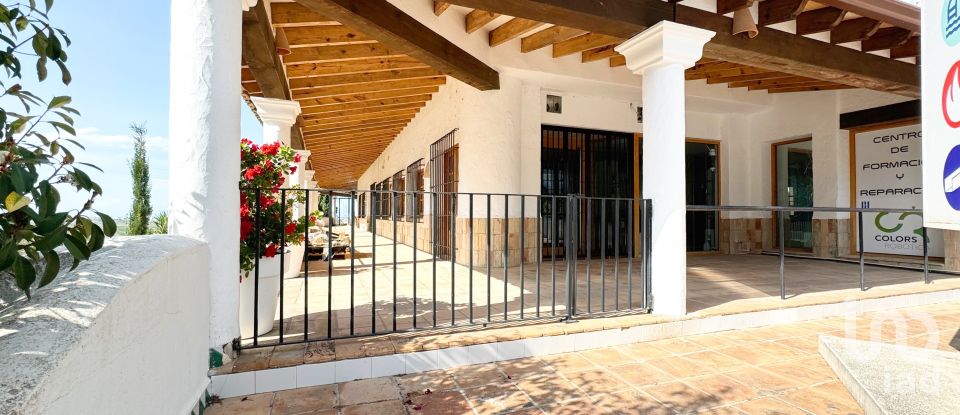 Shop / premises commercial of 152 m² in Pego (03780)