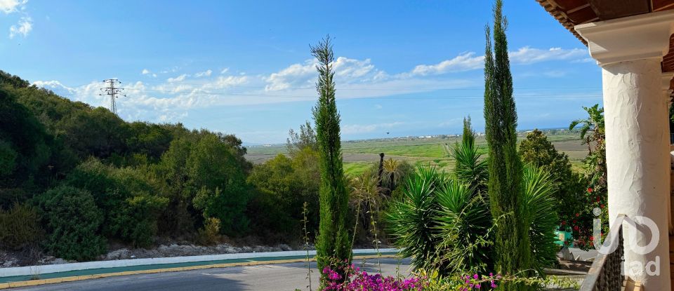 Shop / premises commercial of 152 m² in Pego (03780)