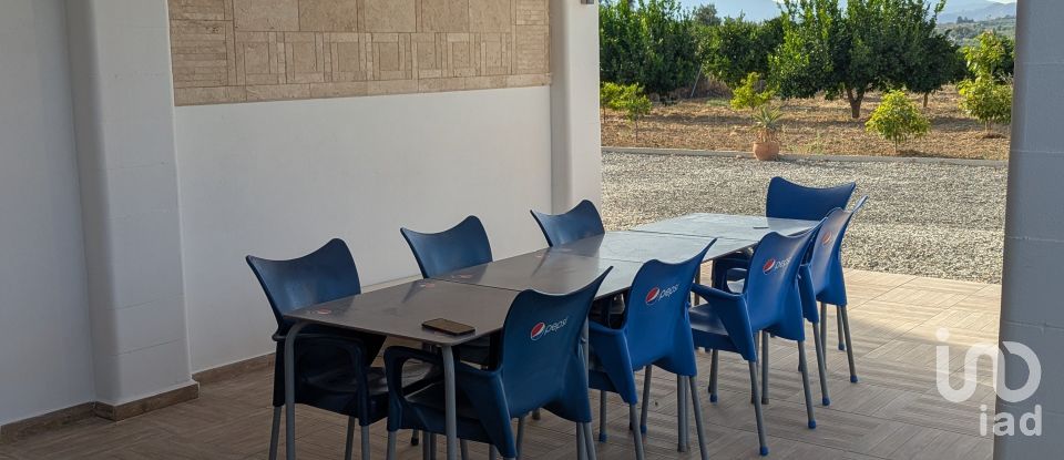 Gîte 1 chambre de 3 700 m² à Alhaurín el Grande (29120)