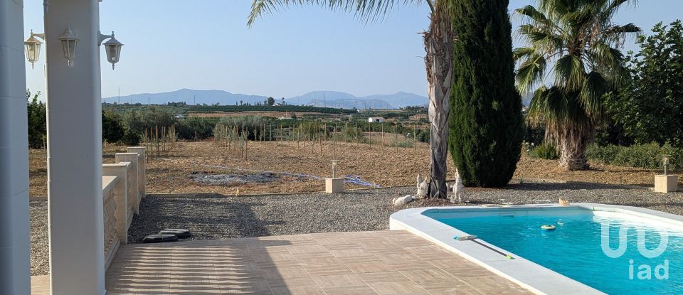 Gîte 1 chambre de 3 700 m² à Alhaurín el Grande (29120)