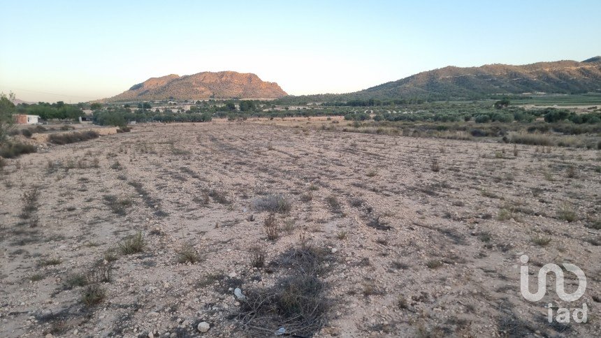 Terreno de 13.753 m² en Salinas (03638)