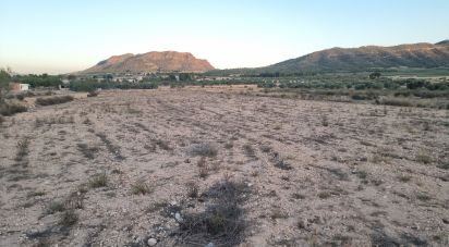 Land of 13,753 m² in Salinas (03638)