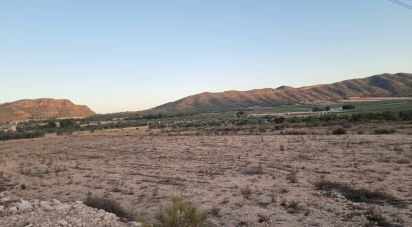 Land of 13,753 m² in Salinas (03638)