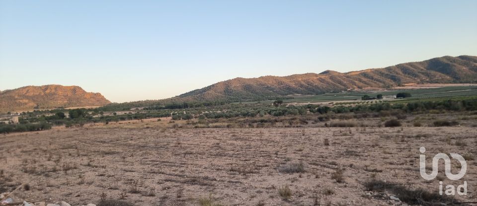 Terreno de 13.753 m² en Salinas (03638)