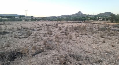 Land of 13,753 m² in Salinas (03638)